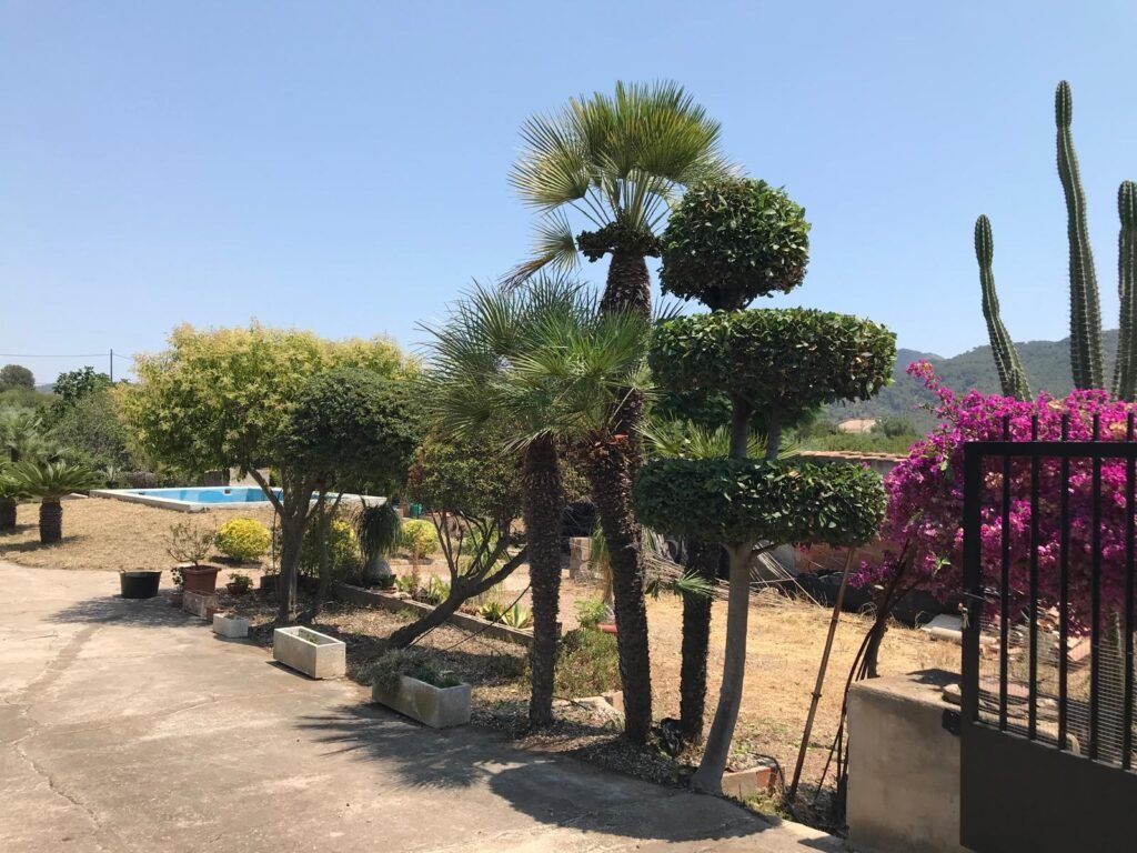 jardinero en Castellón