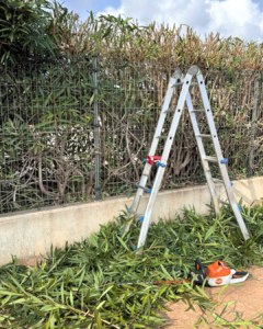 servicios de jardinería en Castellón