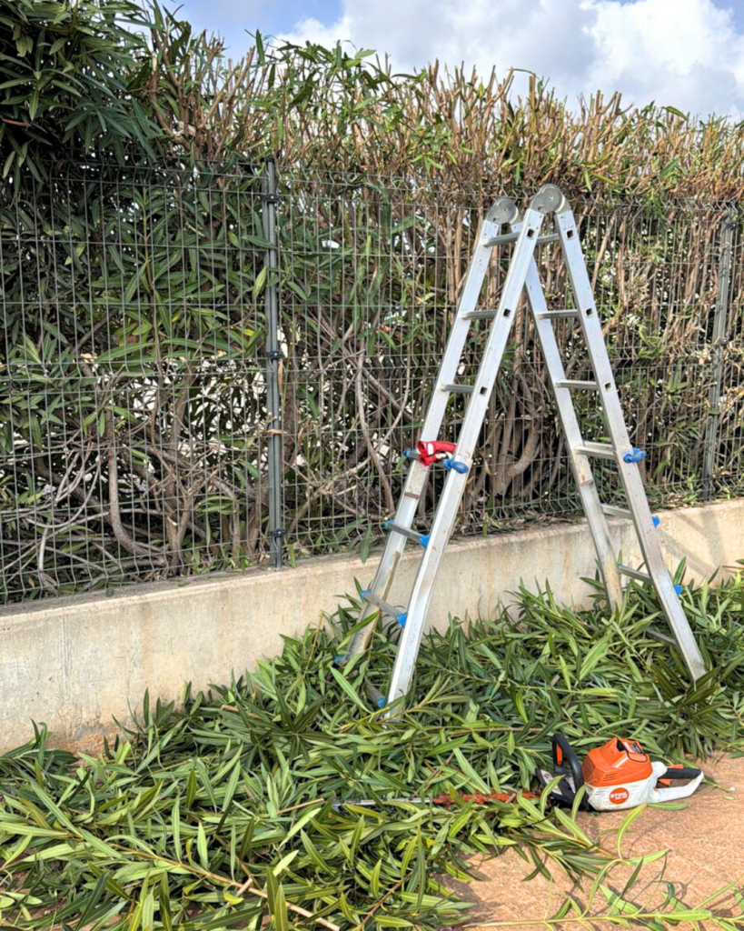 servicios de jardinería en Castellón